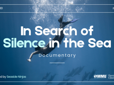 In Search of Silence in the Sea