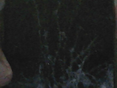 Help Me Repair / Replace My Broken Phone